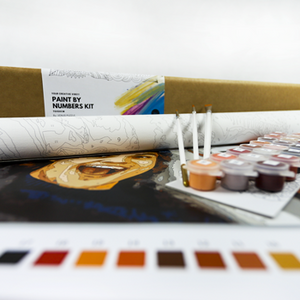 Dipingere con i numeri 35x50 - €  29.98